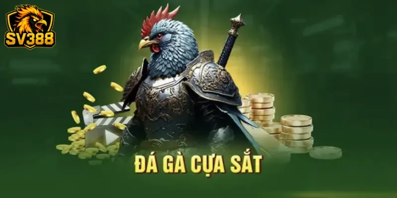 Làm chủ kèo đá gà cựa sắt SV388: Kinh nghiệm cho tân thủ 1 Làm chủ kèo đá gà cựa sắt SV388: Kinh nghiệm cho tân thủ