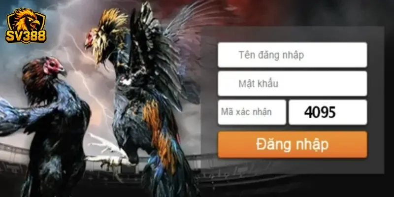Sai lầm cần tránh khi áp dụng cách chọn cửa cược đá gà SV388